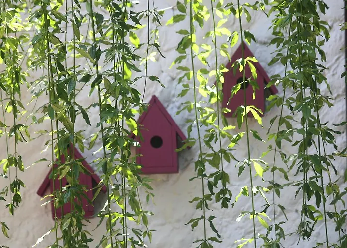 Happy Caretta Konukevi Dalyan