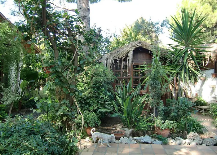 Happy Caretta Guest house