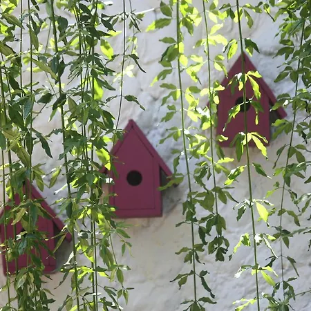 Happy Caretta Guest house Dalyan
