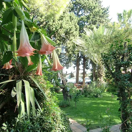 Happy Caretta Guest house