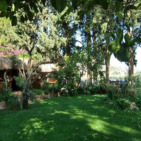 Happy Caretta ダルヤン