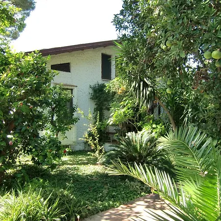 Guest house Happy Caretta Dalyan