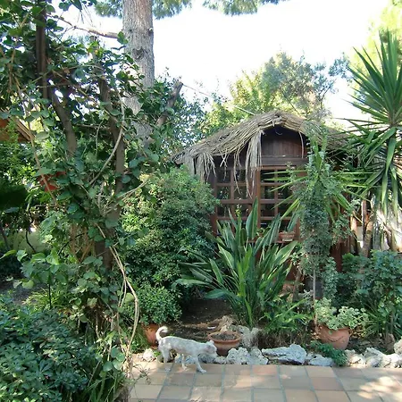 Happy Caretta Guest house