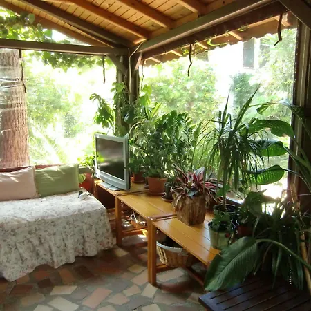 Guest house Happy Caretta 3*