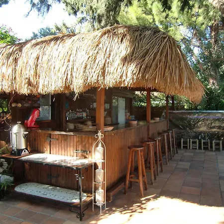 Happy Caretta Dalyan